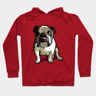 Bulldog Hoodie